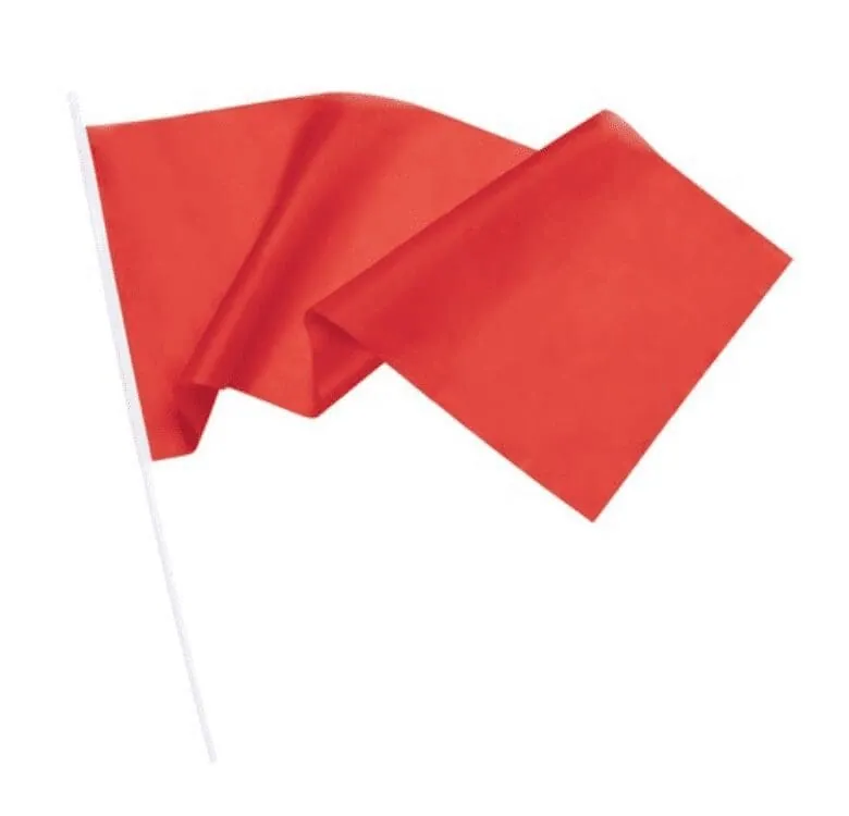 Fan flag 80 x 60 cm V7801 – promotional product with your logo